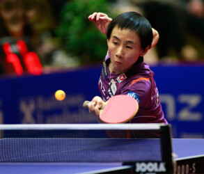 tischtennis-foto-luger tischtennis-foto-luger